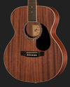 Harley Benton Acoustic Guitars Harley Benton Blues Guitar Set 1