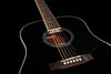 Harley Benton Acoustic Guitars Harley Benton D-120BK