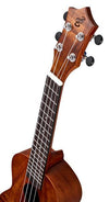 Harley Benton Concert Ukuleles Harley Benton Hawaii Koa Concert Ukulele