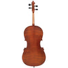 Hidersine Cello Hidersine 3182AG Full Outfit with Graphic Flame 4/4 Size Cello Vivente