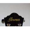 Ibanez Acoustic Guitars 340378 Ibanez V50NJP Acoustic Guitar Combo Pack - Open Box B Stock