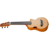 Ibanez Acoustic Guitars Open Pore Natural Ibanez AUP10N AU tenor 6 String Acoustic Guitar