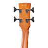 Ibanez Bass Guitars Ibanez PCBE12MH-OPN 4 String Acoustic Bass Guitar - Open Pore Natural