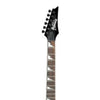 Ibanez Electric Guitars Ibanez GRG121DX RG Gio Series Electric Guitar