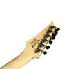 Ibanez Electric Guitars Ibanez GRG170DX RG Gio Series Double Cutaway 6 String Electric Guitar