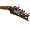 Ibanez Electric Guitars Ibanez GRG170DX RG Gio Series Double Cutaway 6 String Electric Guitar