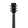 Ibanez Electro Acoustic Guitars Ibanez PF Performance Series PF15ECENT Performance Dreadnought Electro Acoustic Guitar