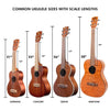 Kala Soprano Ukuleles Kala KALA-LTP-S Learn To Play Ukulele Starter Kit with Online Learning & Digital Tuner App