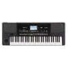 Korg Arranger Keyboards Korg PA300 Professional Arranger Keyboard