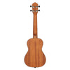 Ortega Concert Ukuleles Ortega RU5MM Bonfire Series Concert Ukulele