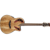 Ovation Electro Acoustic Guitars Spaulted Maple Ovation Celebrity Elite Plus MidDepth Cutaway Acoustic Electric Guitar