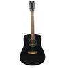 Pluto Acoustic Guitars Black Pluto HW41-12-201 12-String Jumbo Acoustic Guitar