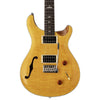 PRS Hollow & Semi-Hollow Electric Guitars PRS SE Custom 22 Semi Hollow Electric Guitar