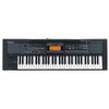 Roland Arranger Keyboards Roland E09IN Arranger Keyboard Indian Edition w/ Indian Sound Suite