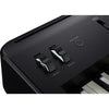 Roland Digital Pianos Black Roland FP-E50 88-Key Portable Digital Piano