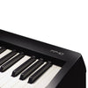 Roland Digital Pianos Roland FP-10 88-Key Digital Piano - Black