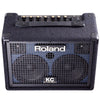 Roland Keyboard Amplifiers Roland KC110 Battery Powered Stereo Keyboard Amplifier