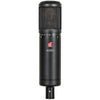 sE Electronics Condenser Microphones sE Electronics sE2200 Large Diaphragm Condenser Microphone