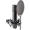 sE Electronics Condenser Microphones sE Electronics sE2200 Large Diaphragm Condenser Microphone