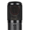 sE Electronics Condenser Microphones sE Electronics sE2300 Studio Condenser Microphone with Switchable Polar Patterns and Isolation Pack