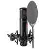 sE Electronics Condenser Microphones sE Electronics sE2300 Studio Condenser Microphone with Switchable Polar Patterns and Isolation Pack