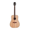 Sire Acoustic Guitars Natural Sire R3-DZ Dreadnought 6-String Acoustic Guitar - Natural