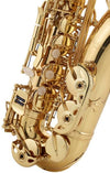 Startone Saxophones Startone SAS-75 Alto Saxophone