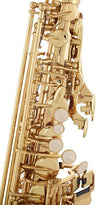 Startone Saxophones Startone SAS-75 Alto Saxophone