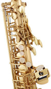 Startone Saxophones Startone SAS-75 Alto Saxophone