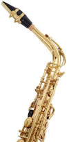 Startone Saxophones Startone SAS-75 Alto Saxophone