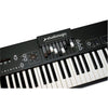 Studiologic Digital Pianos Studiologic Numa Organ 2 73-Key Digital Piano