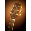 Takamine Electro Acoustic Guitars Takamine GN51CE Cutaway Solid Spruce Top Electro Acoustic Guitar