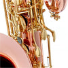 Thomann Saxophones Thomann BariPRO C Baritone Sax