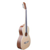 Vault Acoustic Guitars Vault PA36 Parlor Body Compact Acoustic Guitar with Standard Scale Length - Open Box