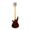 Vault Bass Guitars Vault Performer Pro RB4 Four String Electric Bass Guitar with Gigbag - High Gloss Solid Mahogany