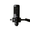 Vault Condenser Microphones Vault CCM-260 Condenser Cardioid Microphone with Shockmount and XLR cable