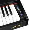 Vault Digital Pianos Vault Avanti 88 Key Digital Piano with Weighted Keys and U Type Stand