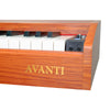 Vault Digital Pianos Vault Avanti 88 Key Digital Piano with Weighted Keys and U Type Stand