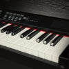 Vault Digital Pianos Vault Caesar MK2 88 Key Digital Piano