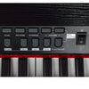 Vault Digital Pianos Vault Caesar MK2 88 Key Digital Piano