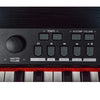 Vault Digital Pianos Vault Caesar MK2 88 Key Digital Piano