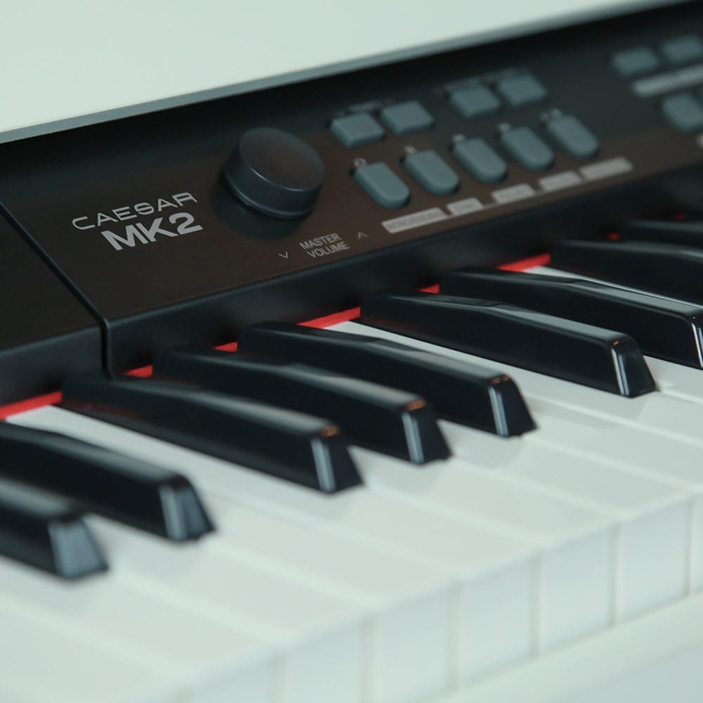 Vault Digital Pianos Vault Caesar MK2 88 Key Digital Piano