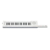 Yamaha Portable Keyboards Yamaha Sonogenic SHS 300 Mini Keytar Instrument and Midi Keyboard Controller